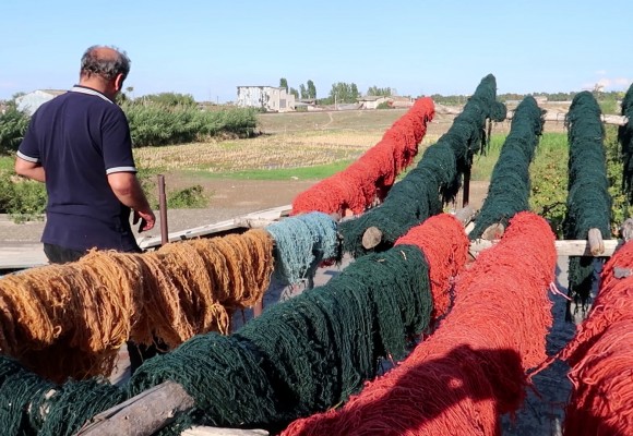 رنگرزی گیاهی در فرش قلیزاده